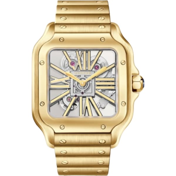 Cartier Santos De Cartier Watch