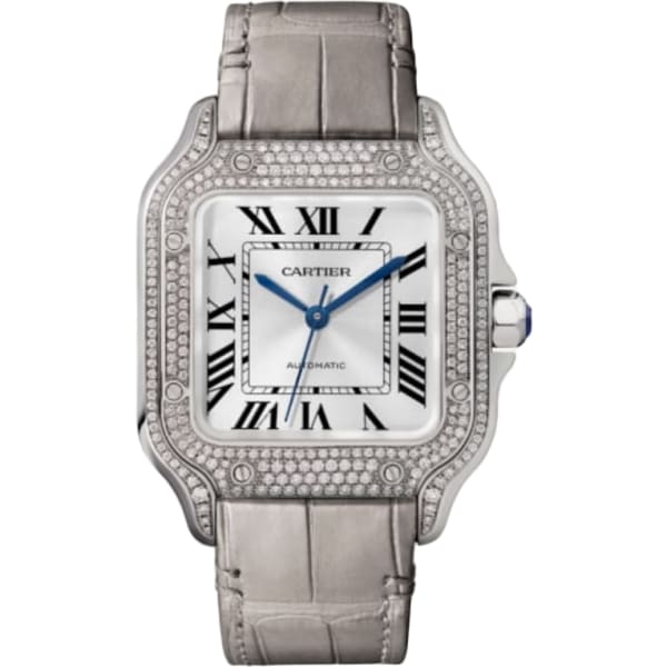 Cartier Santos De Cartier Watch