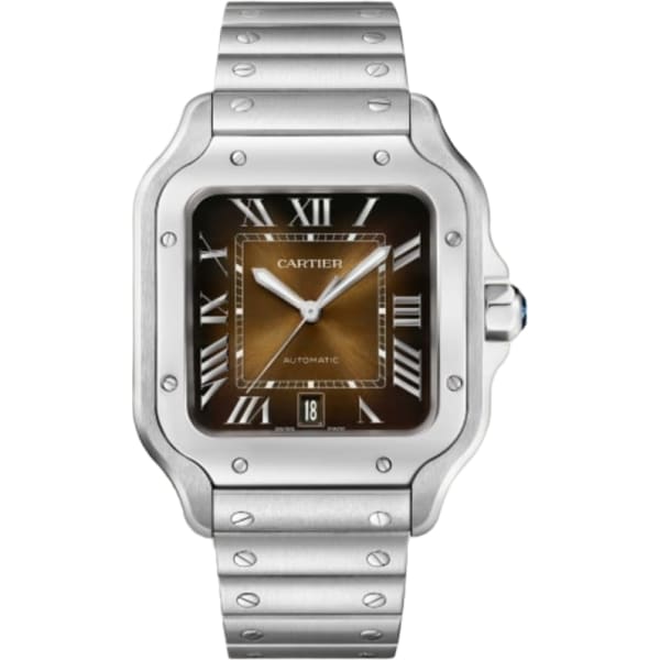 Cartier Santos De Cartier Watch