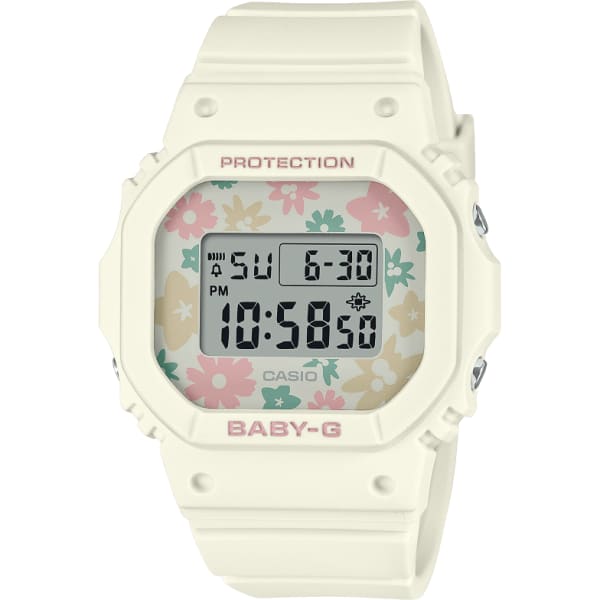 Casio Bgd-565 Series