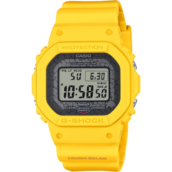 Casio Digital 5600 Series
