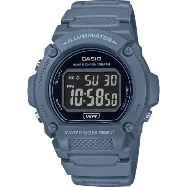 Casio Standard