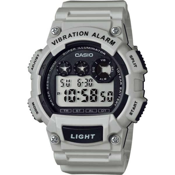 Casio Standard