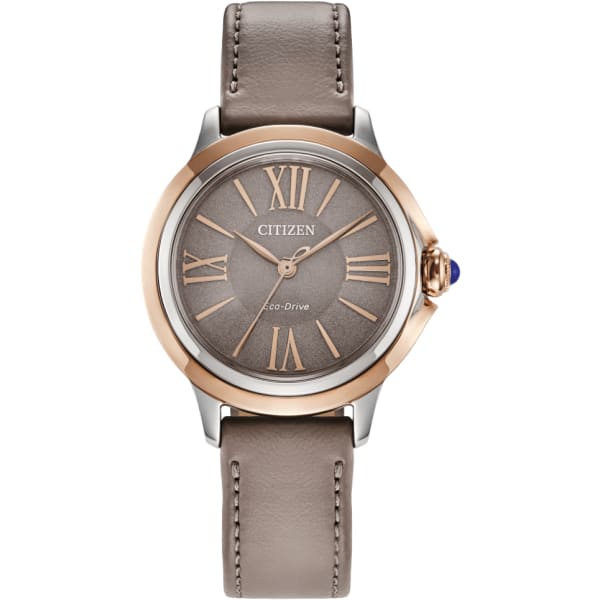 Citizen Ceci