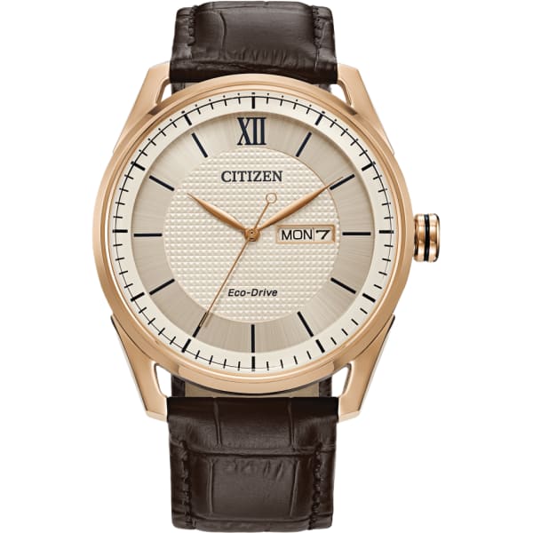 Citizen Classic