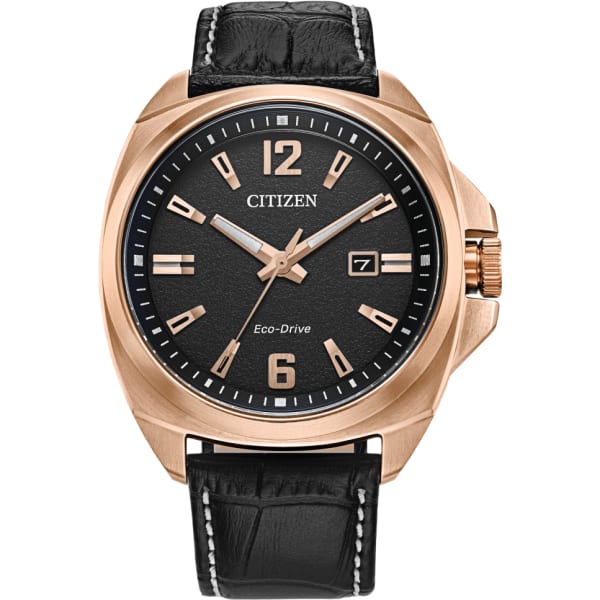 Citizen Endicott