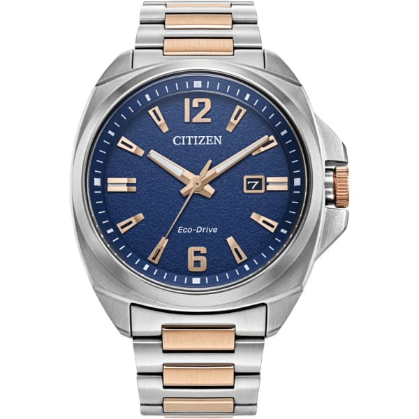 Citizen Endicott
