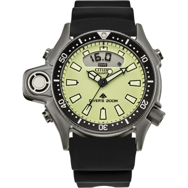 Citizen Promaster Aqualand