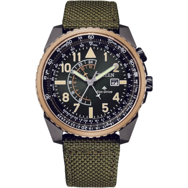 Citizen Promaster Eco Driver Diver