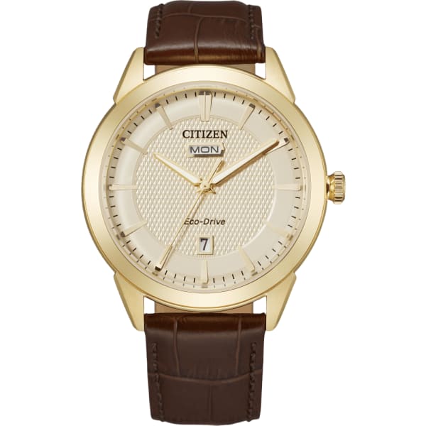 Citizen Rolan