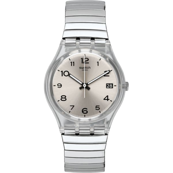 Swatch Metallixsilverall