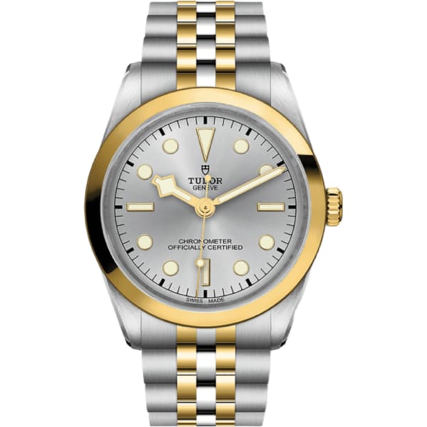 Tudor Black Bay 36 S&g