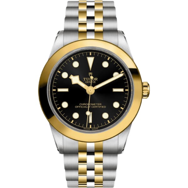 Tudor Black Bay 39 S&g