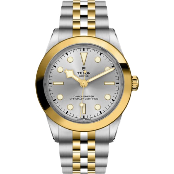 Tudor Black Bay 39 S&g