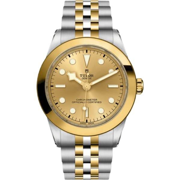 Tudor Black Bay 39 S&g