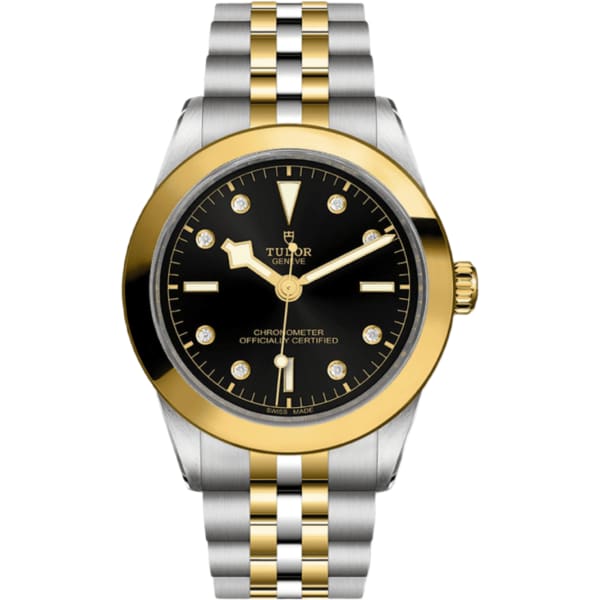 Tudor Black Bay 39 S&g