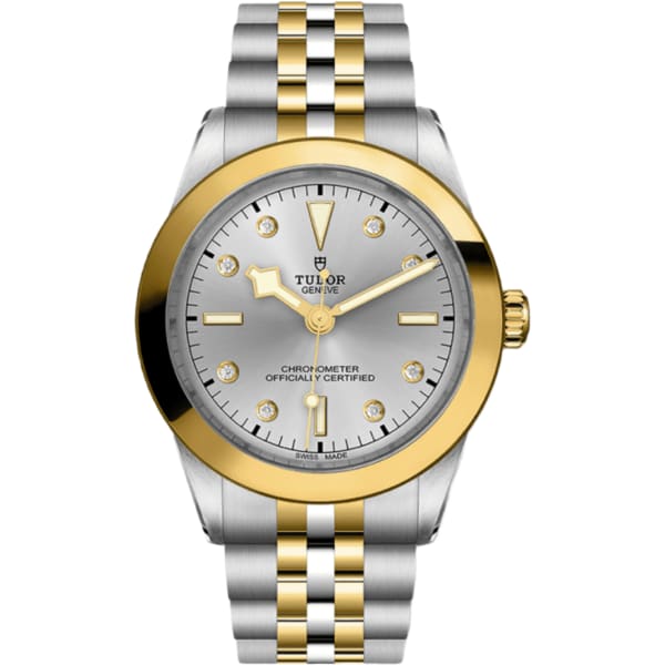 Tudor Black Bay 39 S&g
