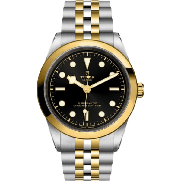 Tudor Black Bay 41 S&g