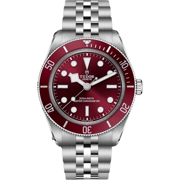 Tudor Black Bay 60