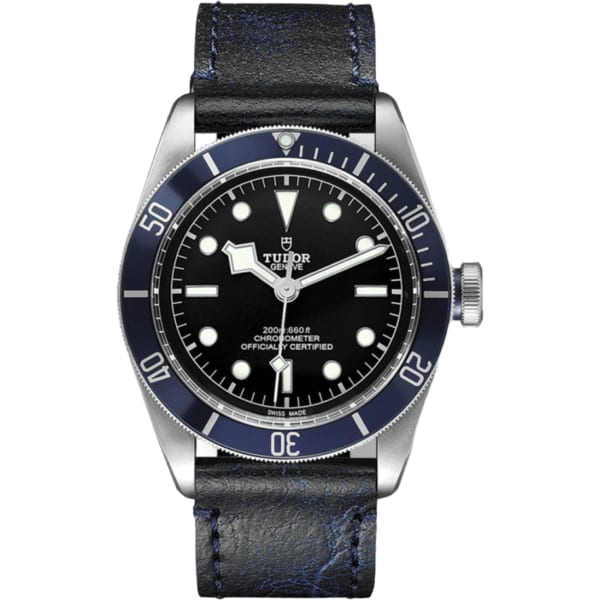 Tudor Black Bay