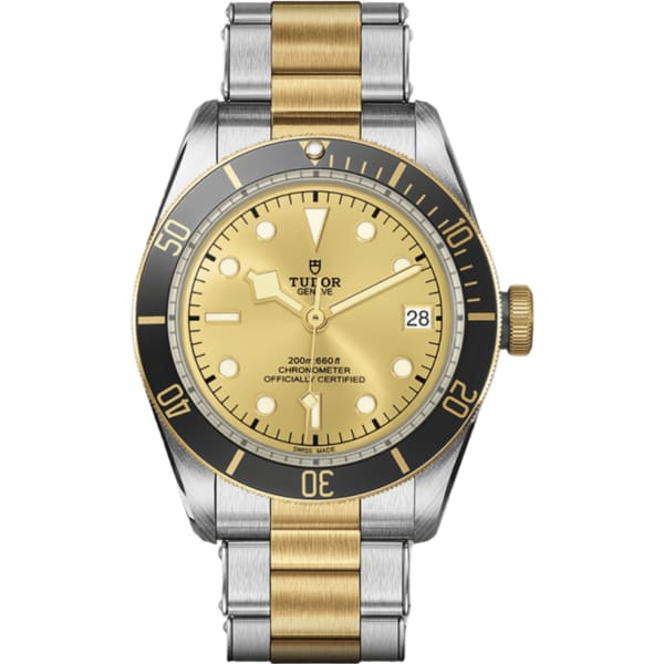 Tudor Black Bay S&g