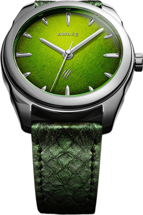 Awake Son Mài Jurassic Watch RAPTORS Edition