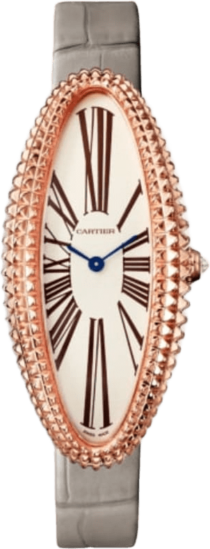 Cartier Baignoire Allongée Watch