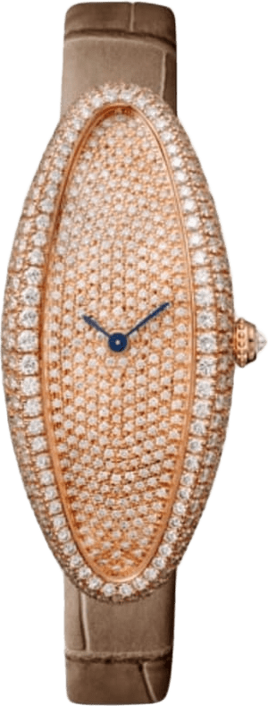 Cartier Baignoire Allongée Watch