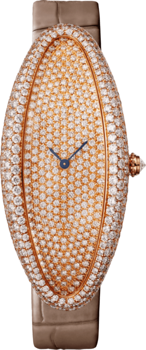 Cartier Baignoire Allongée Watch