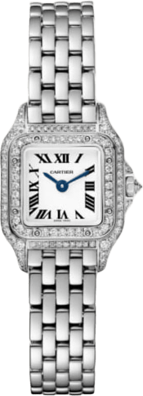 Cartier Panthère De Cartier Watch