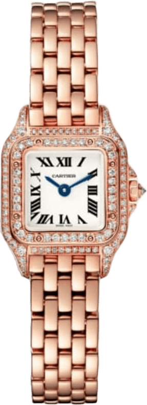 Cartier Panthère De Cartier Watch