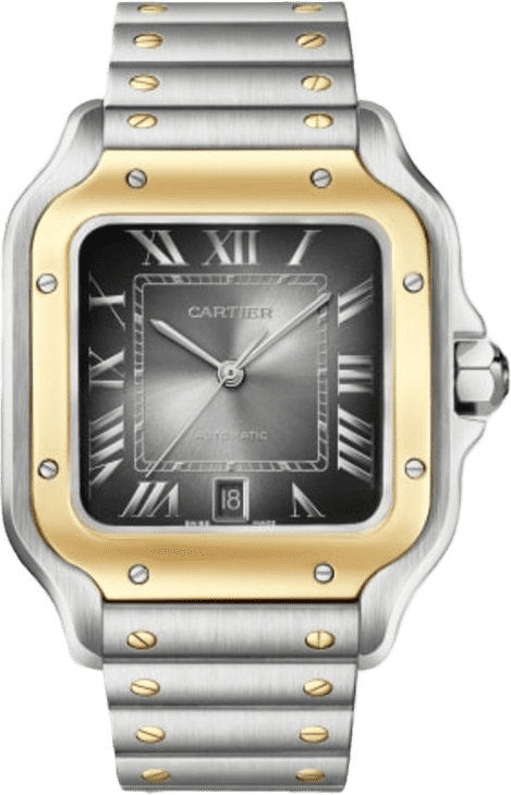 Cartier Santos De Cartier Watch
