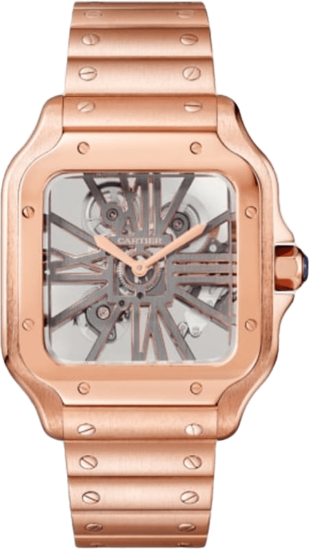 Cartier Santos De Cartier Watch