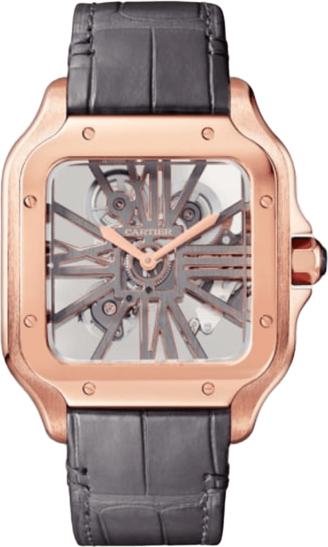 Cartier Santos De Cartier Watch