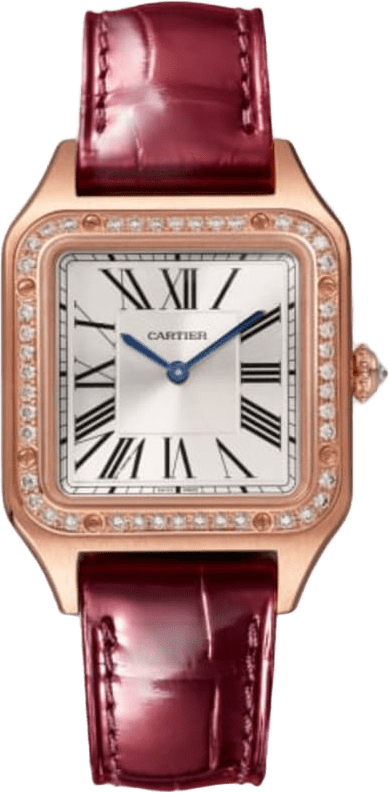 Cartier Santos-dumont Watch