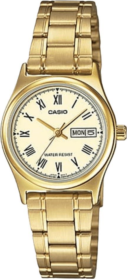 Casio Analog