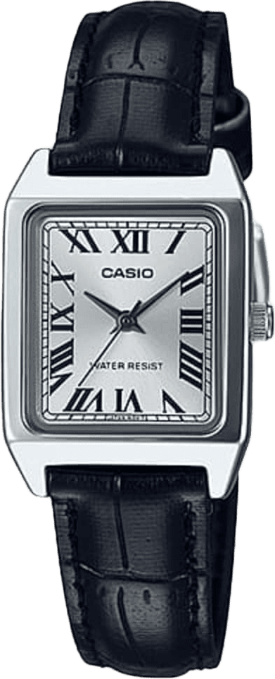 Casio Analog