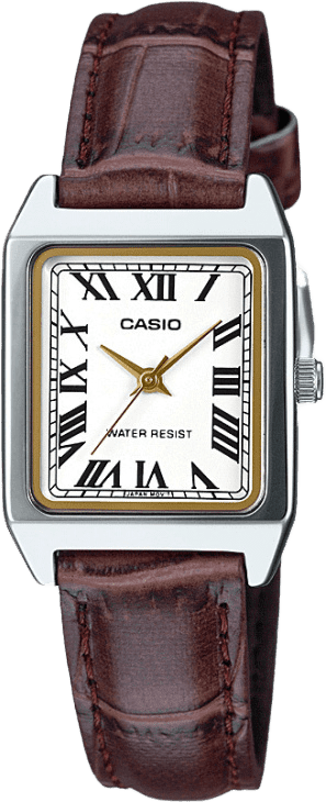 Casio Analog