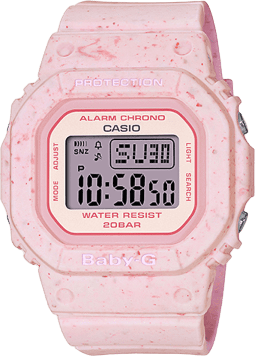 Casio Bgd-560 Series