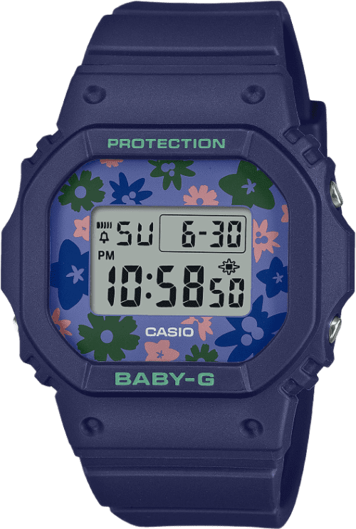 Casio Bgd-565 Series