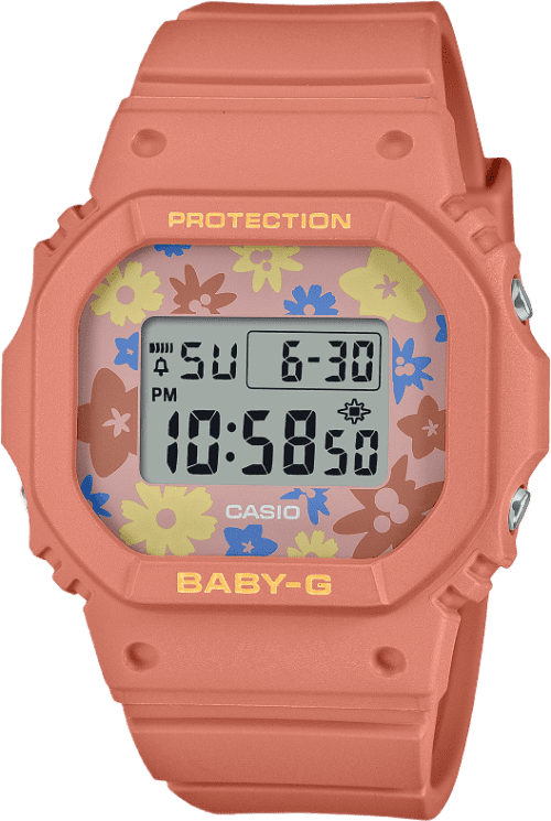 Casio Bgd-565 Series