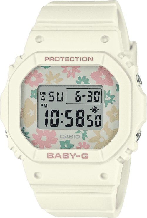 Casio Bgd-565 Series