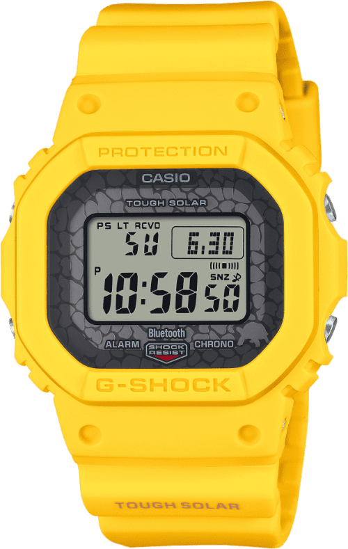 Casio Digital 5600 Series