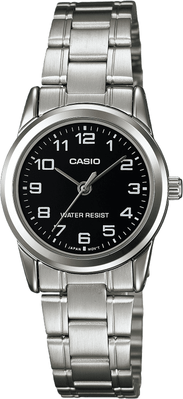 Casio Standard