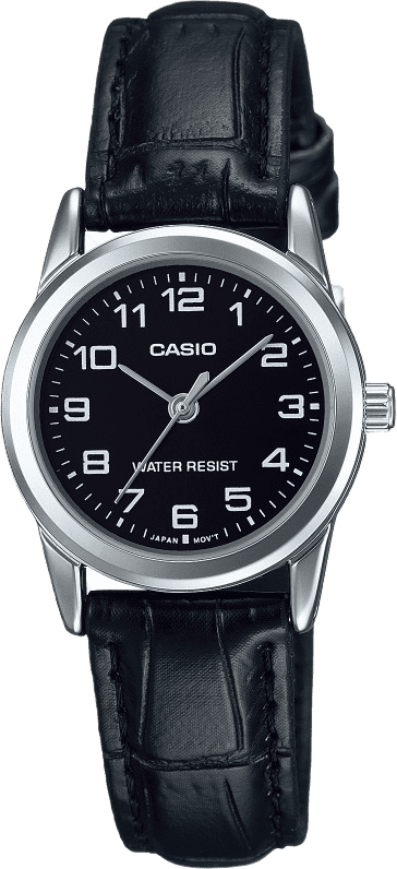 Casio Standard