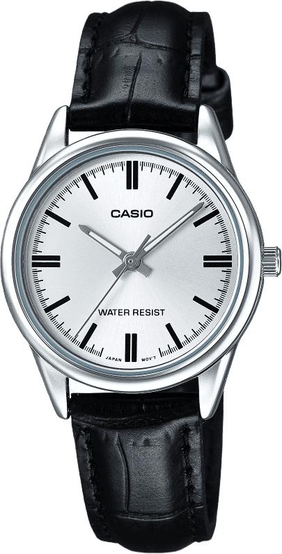 Casio Standard