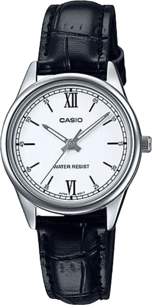 Casio Standard