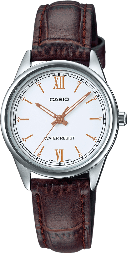 Casio Standard