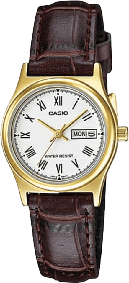 Casio Standard