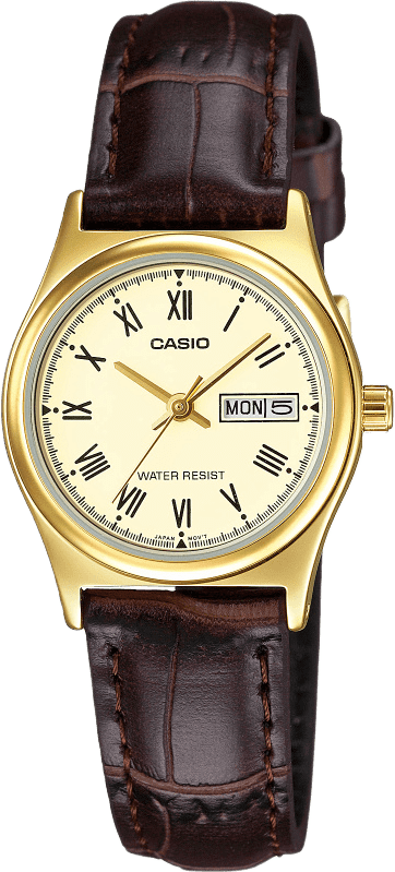 Casio Standard